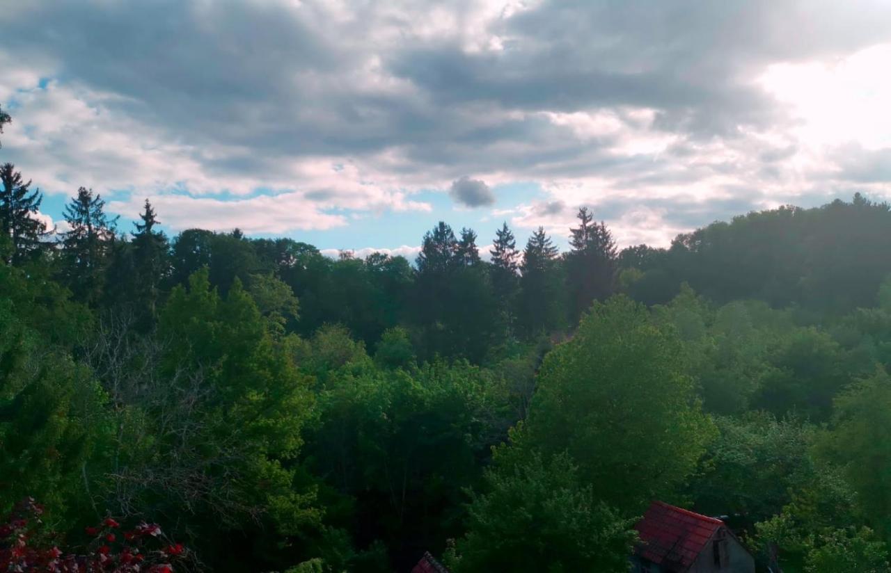 Ferienwohnung Im Manbach Freudenstadt Zewnętrze zdjęcie